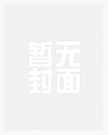 迟来的情书封面